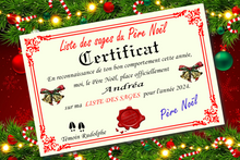 Load image into Gallery viewer, Santa Claus Nice or Naughty List Certificate (French Version)
