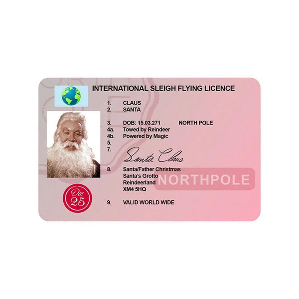 Santa Claus Lost Sleigh Flying Licence